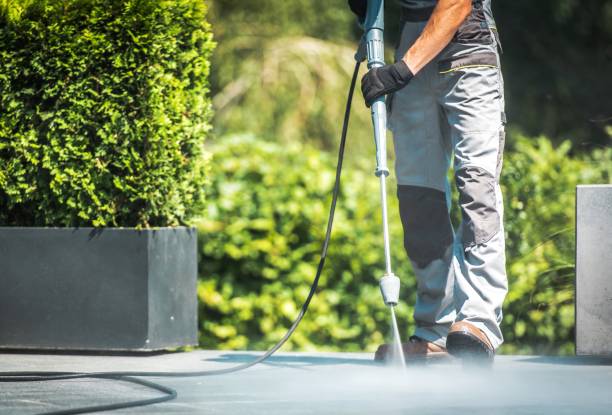 Best Fence Cleaning  in Grayson Vley, AL